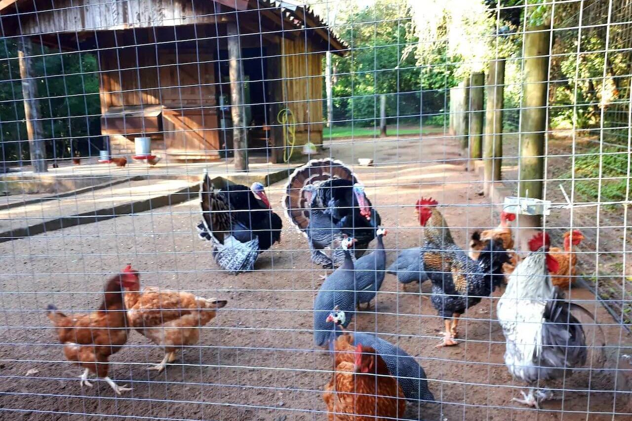 casa-de-campo-itapua (5)